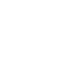 P2 - Value Case