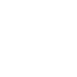 P4 - Business Case